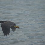 Photo taken by Ben S