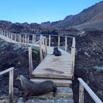 Photo taken by Lee B