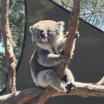 Photo taken by Jennifer H