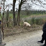 Photo taken by Christie B