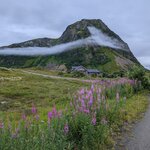 Photo taken by Dani L