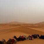 Photo taken by Caroline S