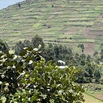 Photo taken by Michael L