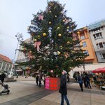 Photo taken by Jocelyn C