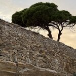 Photo taken by David B