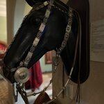 Photo taken by Graciela P