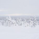 Photo taken by Raylene C