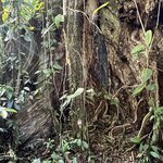 Photo taken by Charles H