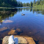 Photo taken by Barbara R