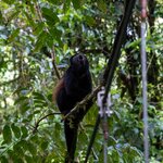 Photo taken by Jeffrey B