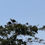 Photo taken by Michael L