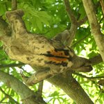 Photo taken by Peter F