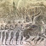 Photo taken by Kim C