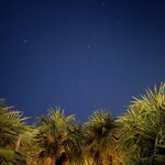 Photo taken by Carter G