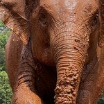 Photo taken by Felice Z