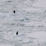 Photo taken by Iain M