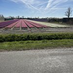 Photo taken by Jennifer D