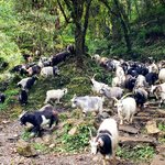 Photo taken by Jill S