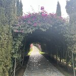 Photo taken by Grace V