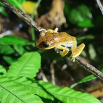 Photo taken by Tom B