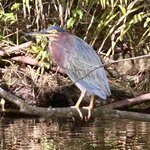 Photo taken by KLAUS A