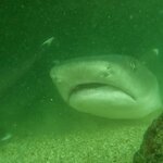 Photo taken by caitrinad@yahoo.co.uk A