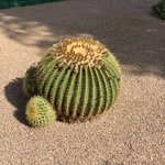 Photo taken by Leah H