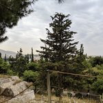 Photo taken by PADMABEN P