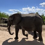 Photo taken by rhonda c