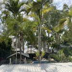 Photo taken by Susan C