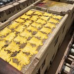 Photo taken by Paula H