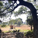 Photo taken by shelly s