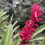 Photo taken by Kara H