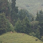 Photo taken by Janice B