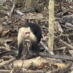 Photo taken by Bonnie Y