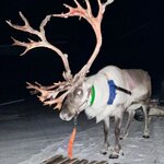 Photo taken by Jennifer E