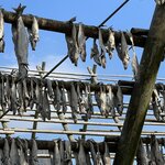 Photo taken by Susan K