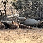 Photo taken by Hari R