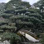 Photo taken by Khosiyat M