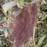 Photo taken by Ben B