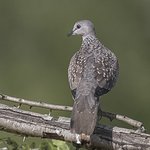 Photo taken by Graham D