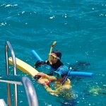 Photo taken by Sean M