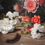 Photo taken by Shannon F