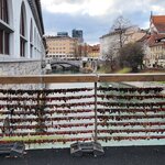 Photo taken by Jocelyn C