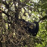 Photo taken by Fuad A