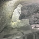 Photo taken by Tommy B