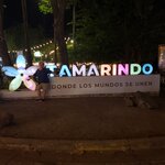 Photo taken by Tracye P