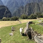 Photo taken by Ashley V