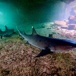 Photo taken by Katherine A