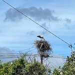 Photo taken by Bobbie X